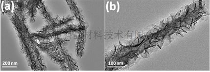 NiAl-LDH納米管1.png NiAl-LDH納米管1.png